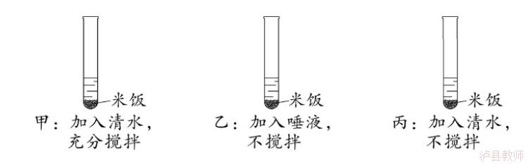 404b080cf0d64f328789f5046f1ace48.Jpeg