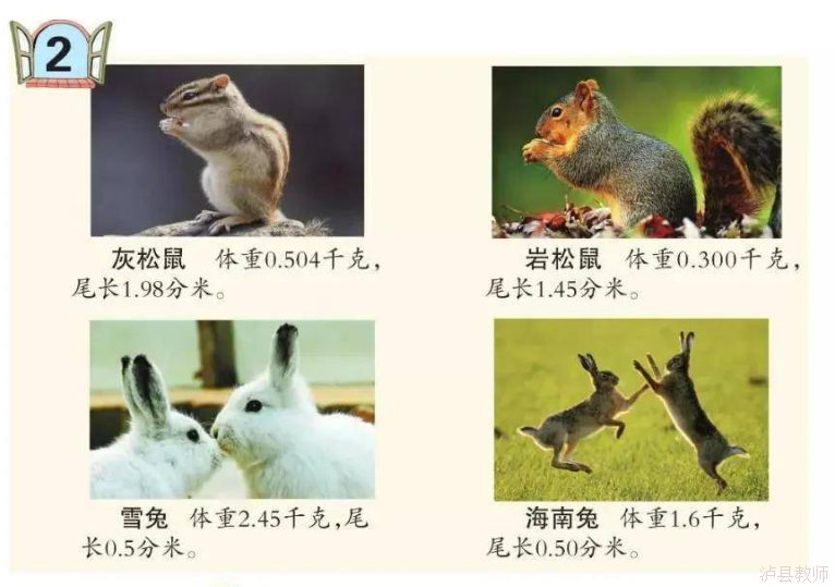 7ceb281c6b2f48caa834aebb06c38146.Png