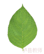 a59c5048c90140858013e025e4899cef.Png
