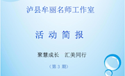 泸县牟丽名师工作室简报　　 第3期