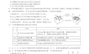 邓胜琴—练习题《高三复习化学试题》
