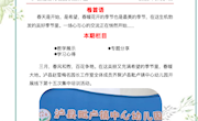 聚焦半日，共同成长——泸县赵雪梅名园长工作室第十五次活动简报2023年第三期