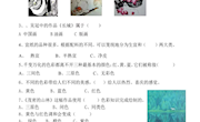 单元试题
