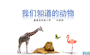 1.我们知道的动物-教学课件(城东唐姣）