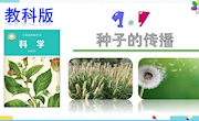 《种子的传播》课件