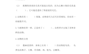 作业设计