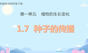 《种子的传播 》课件