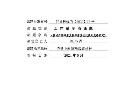 工作报告