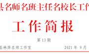 名师引领 微课初绽