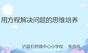 用方程解决问题的思维培养的讲稿（张良伟）