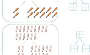陈春燕 评价试题