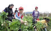 邱庆红 单元练习题： 五上数学单元检测题（三）
